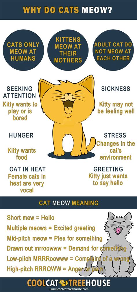 meaning of cat meows