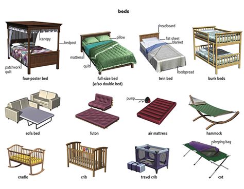 Meaning Of Cot Person
