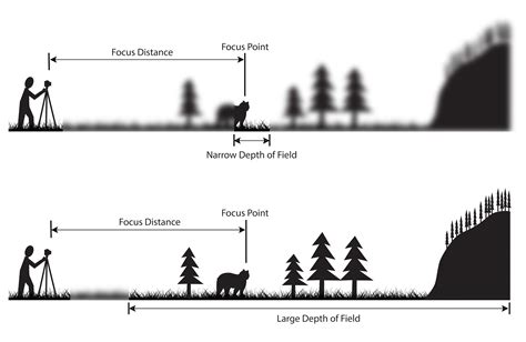 meaning of depth of field