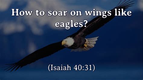 meaning of eagles wings in the bible