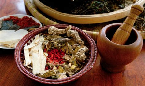 meaning of herbal medicine