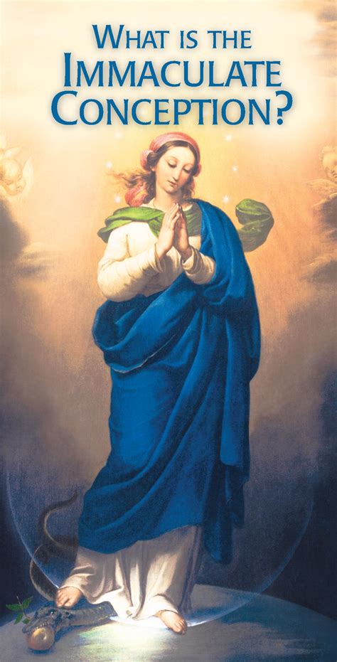 meaning of immaculate conception