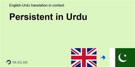 meaning of persistent in urdu