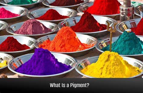 meaning of pigment