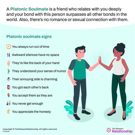 meaning of platonic soulmate