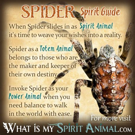 meaning of spiders