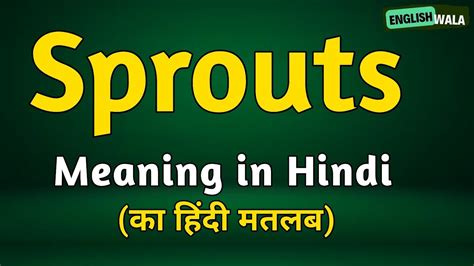 meaning of sprouts in hindi