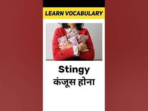 meaning of stingy in hindi