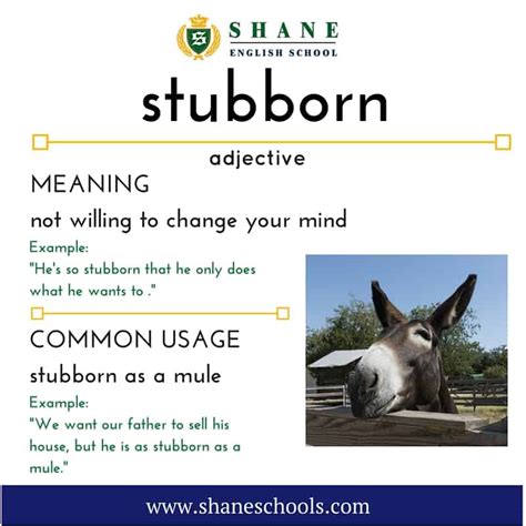 meaning of stubborn in idioms