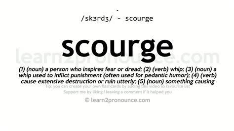 meaning of the word scourge