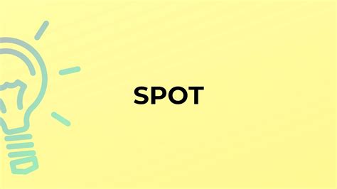 meaning of the word spot