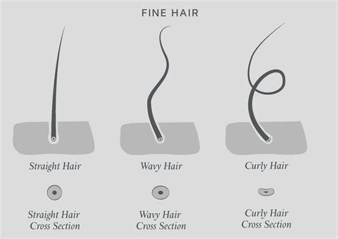 The Meaning Of Thin Hair In French  Understanding The Basics