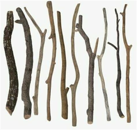 meaning of twigs in hindi