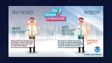 meaning of wind chill