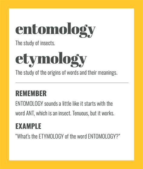 meaning simple word etymology