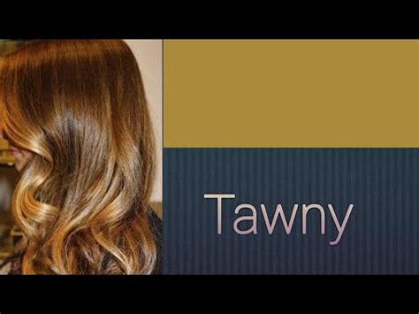 meaning tawny