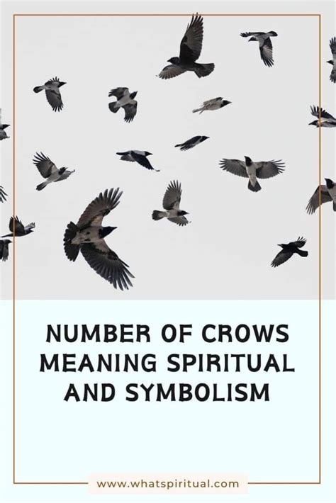 Hidden Meanings of Crows in Number (1 to 9) & Symbolism What Spiritual