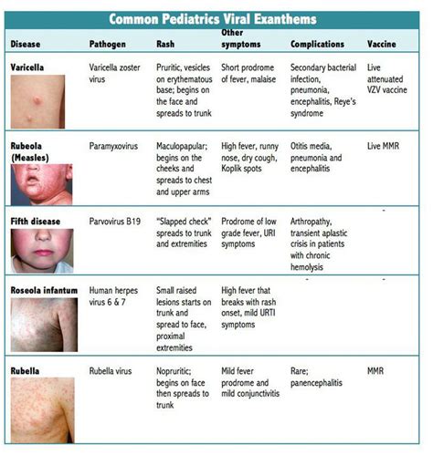 measles rash description dermatology