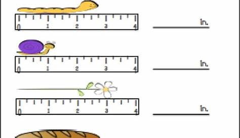measuring to the nearest inch worksheets