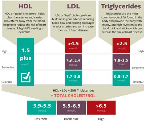 Measuring Cholesterol Levels Uk
