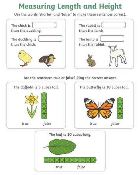 Measuring Length Ks1 Worksheets