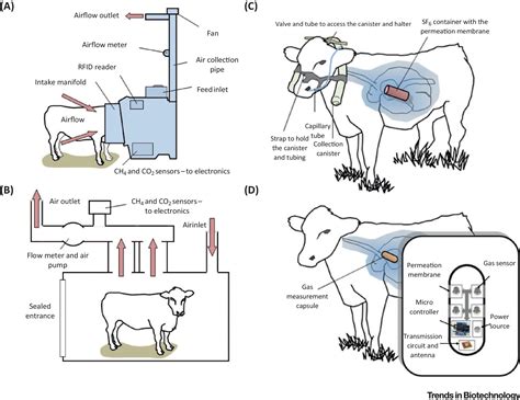 measuring methane production from ruminants