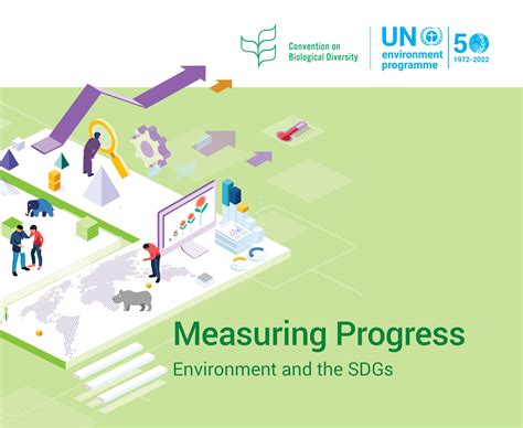 measuring progress environment and the sdgs
