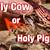 meat church holy cow recipe