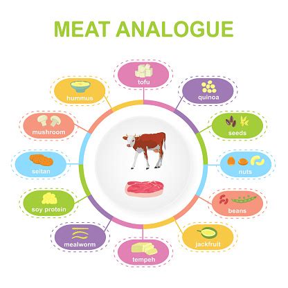 Meat Analogue Examples