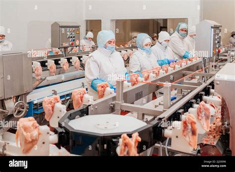 Meat And Poultry Processing Sector