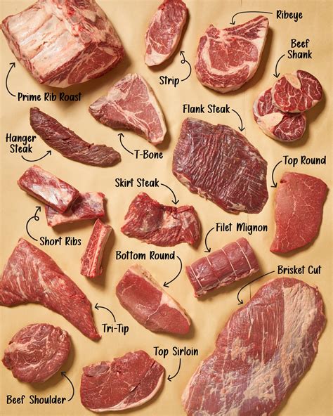 Meat Cuts The