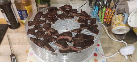 Meat Dehydrator Reddit