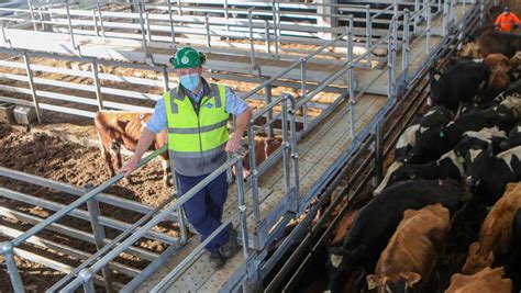 Meat Factory Warrnambool