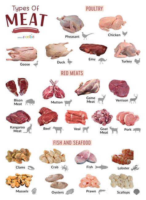 Meat In Examples