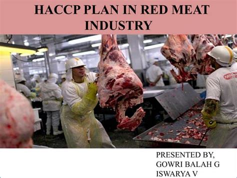 Meat Industry Questions