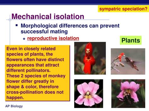 Mechanical Isolation Sympatric Speciation