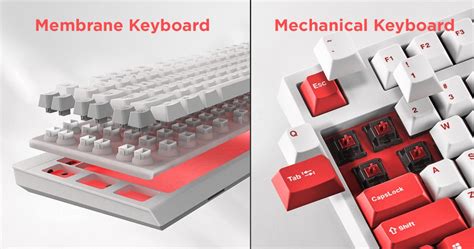 Mechanical Keyboards Vs Membrane