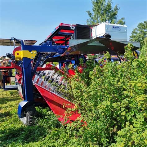 Mechanical Raspberry Harvester
