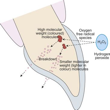 How Does KöR Whitening Work?