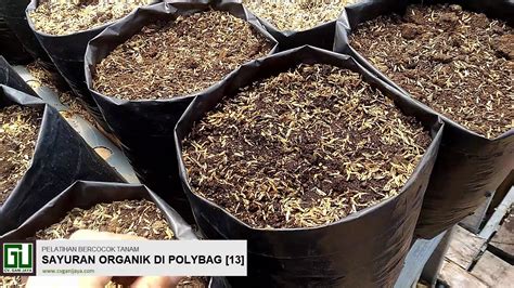 media tanam untuk polybag sayuran in indonesia