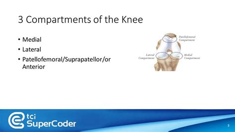 Medial Capsular Plication Knee Cpt Code