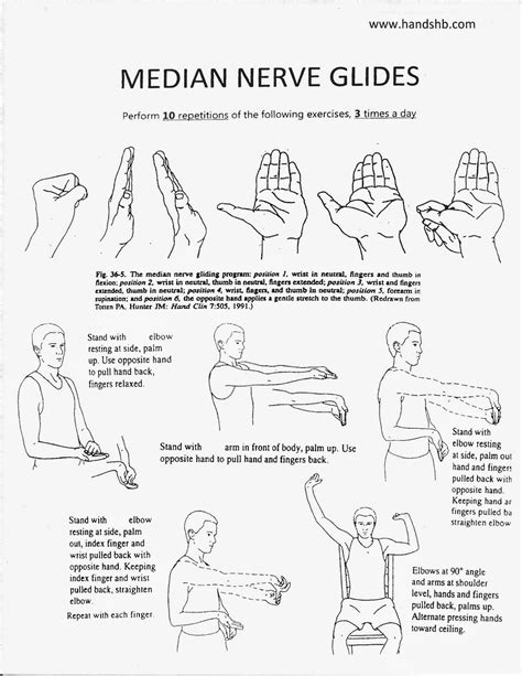 median nerve glides pdf