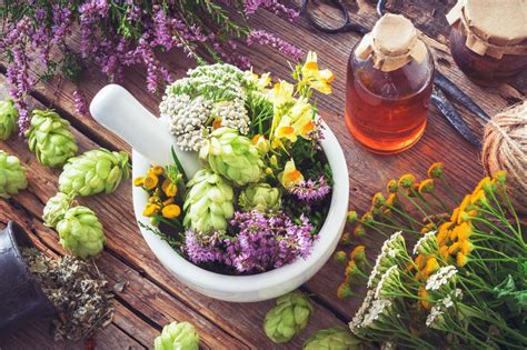 Medical Herbalism Discover the Healing Powers of Natural Medicine