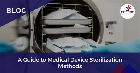Medical Device Sterilization Techniques
