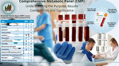 Medical Lab Test Cmp
