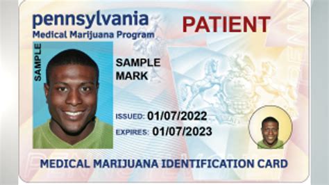 medical marijuana card pa login