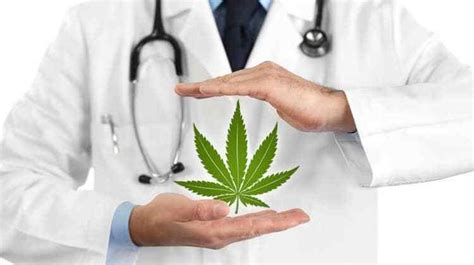 medical marijuana provider login