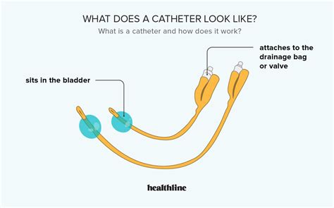 medical term for catheter