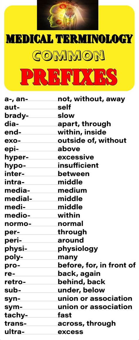 medical terminology prefixes worksheet