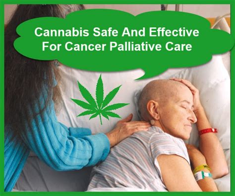 medical use of marijuana in palliative care